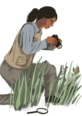 Activitat Familiar - Taller Ambiental- Cuques, on sou?